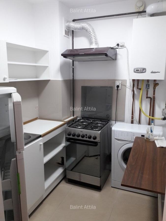 Sagului- Piata Doina 3 camere 400 euro - 6