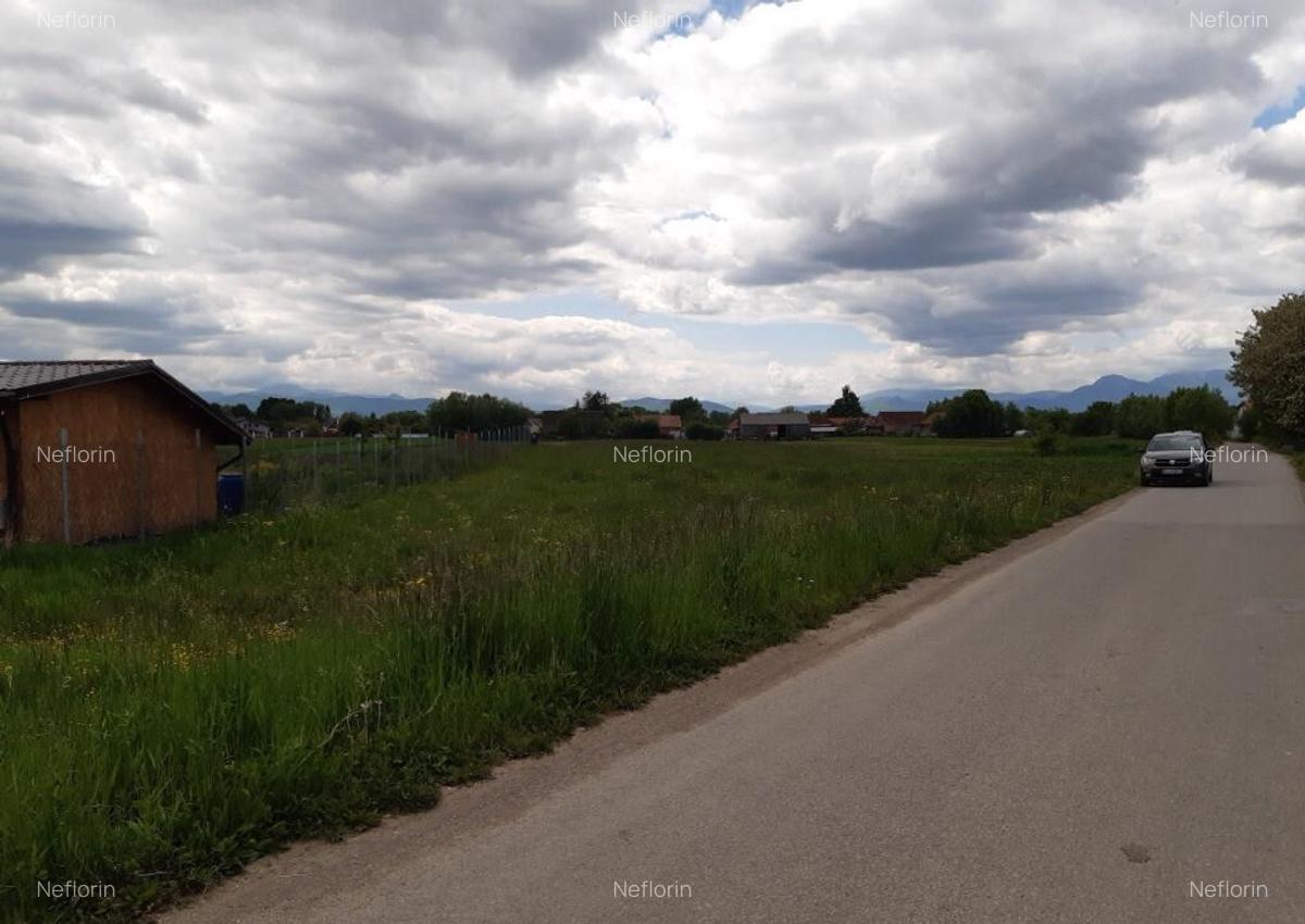 Teren intravilan 5000 mp construibil zona rezidentiala - 7