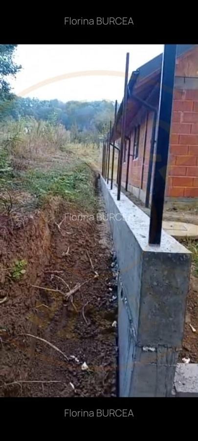 Casa P+1, Babana-Arges cu panouri si apa de izvor - 4