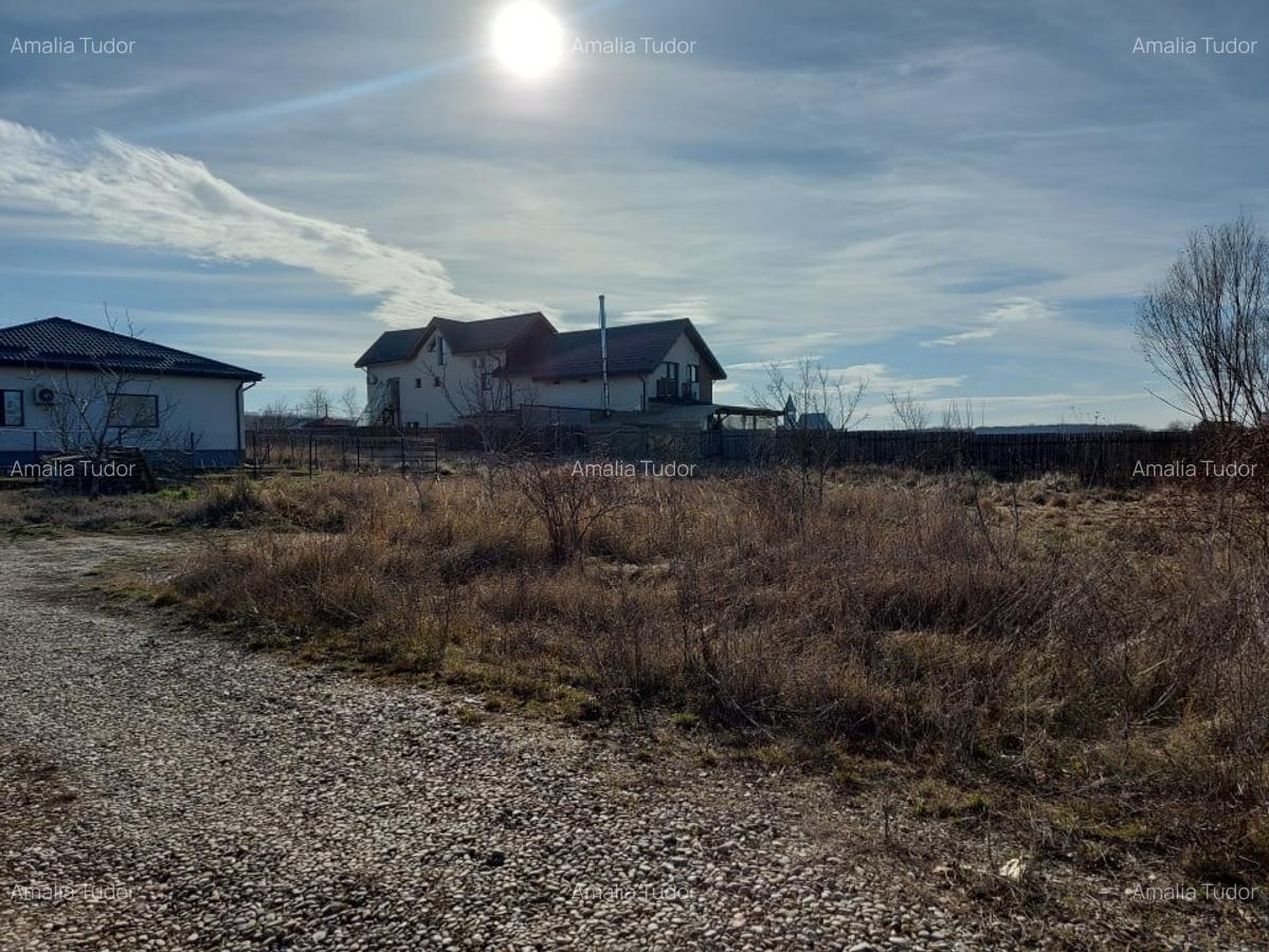 Loc pentru casa cu utilitati la 500m de padure, Ciofliceni - Snagov! - 10