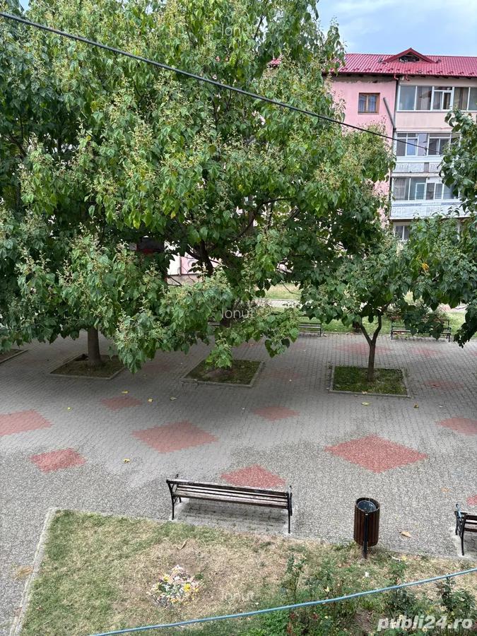Vand ap 2 camere,et1,decomandat,Maracineni,proprietar - 8