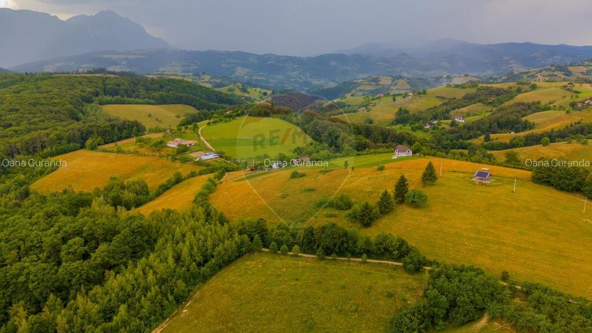 Teren Construcții intravilan de 11600 mp, în Poiana Mărului - 2