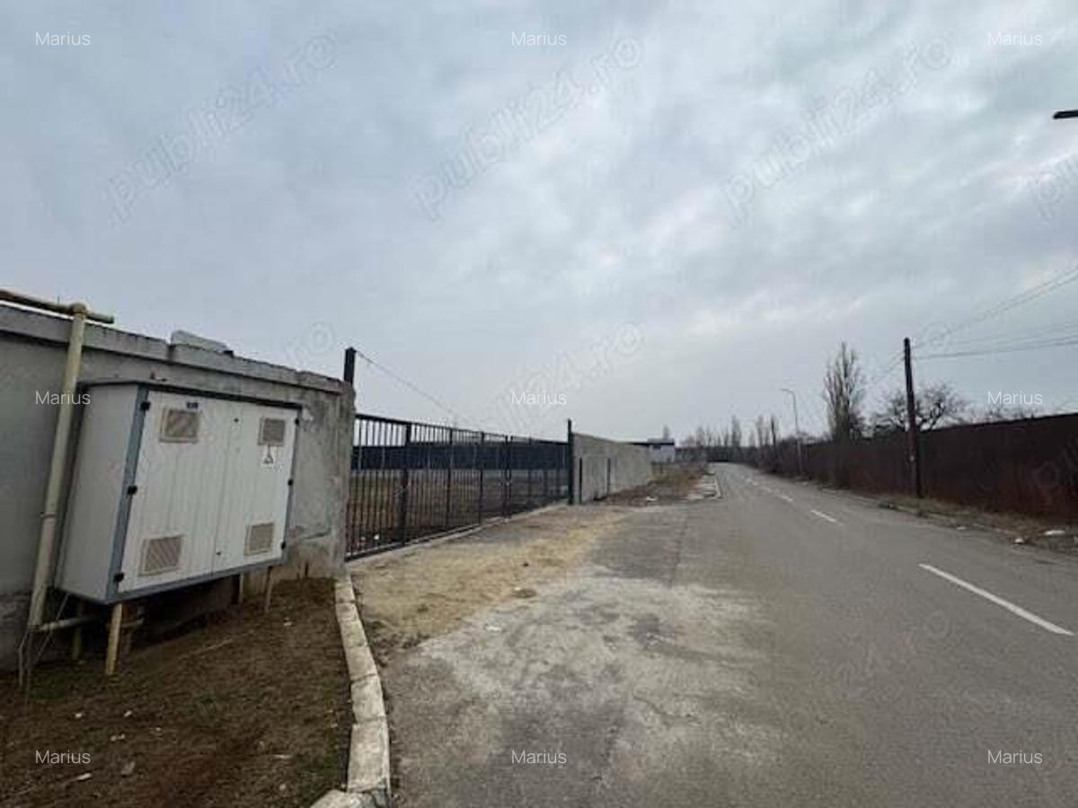 Teren intravilan Chitila , Ilfov - 5