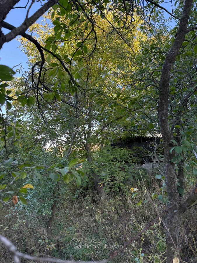 Vand teren 1300 mp inclusiv casa 70mp Racoasa, judetul Vrancea. - 4 Vand teren 1300 mp inclusiv casa 70mp Racoasa, judetul Vrancea. - 4