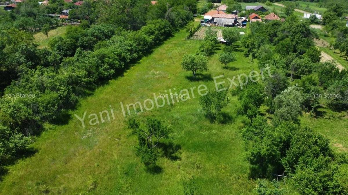 Teren de vanzare in comuna Poienarii de Arge?, sat Ceaure?ti, Jude? Arge?. - 15