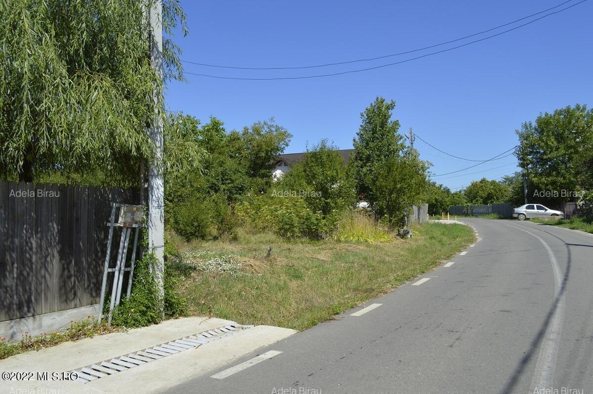 Smeura de Sus - Teren 1428 Mp Dupa Colina Verde, la 2 Km de Trivale! - 1