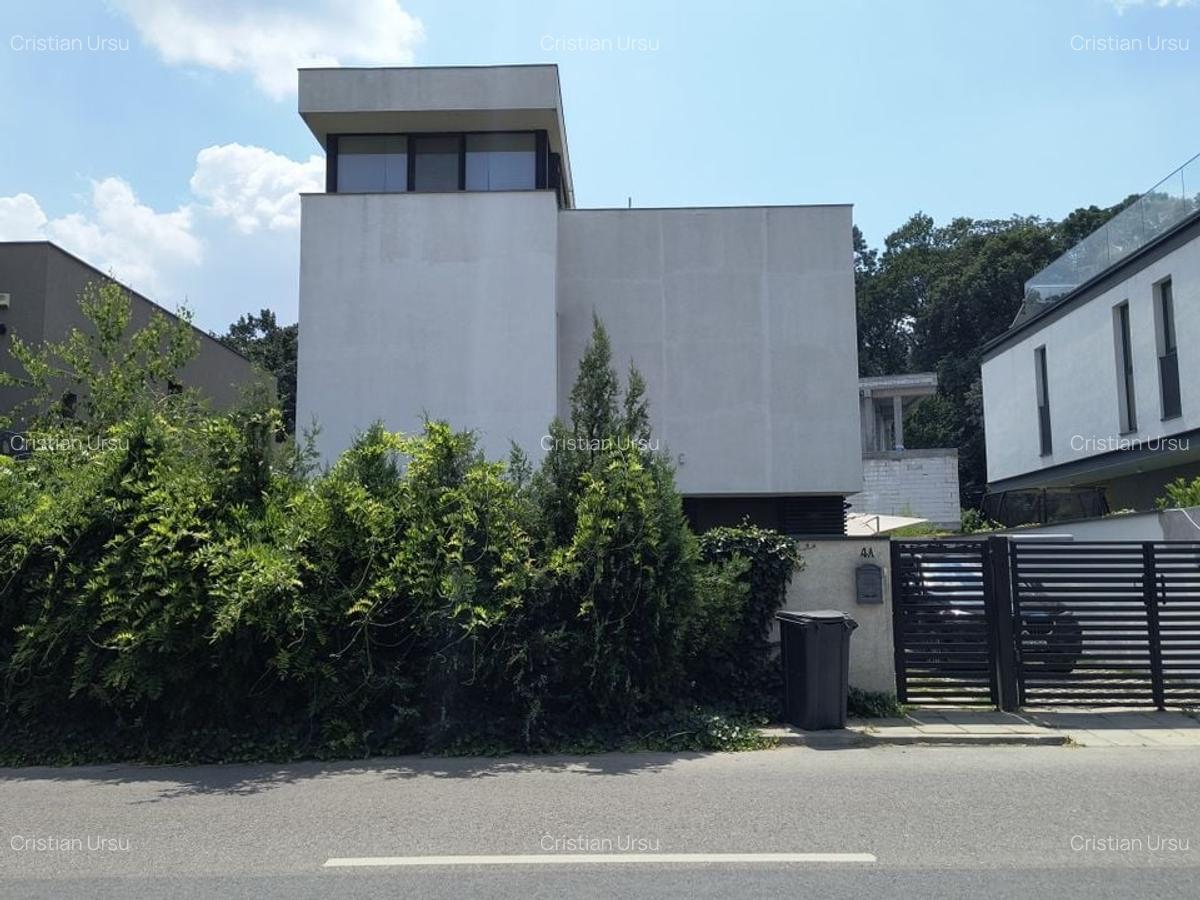 Baneasa- Padure- Greenfield - 23