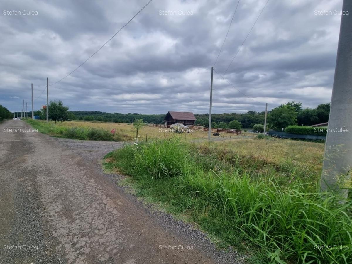 Casa modernizată în 2024 din bușteni de brad - 2 Casa modernizată în 2024 din bușteni de brad - 2