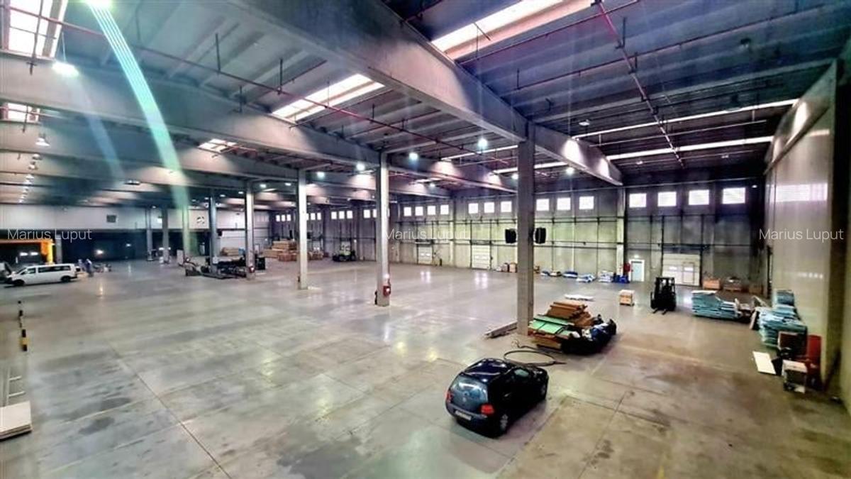 Hala industriala 6000mp, curent 1MW, Timisoara Vest - 6