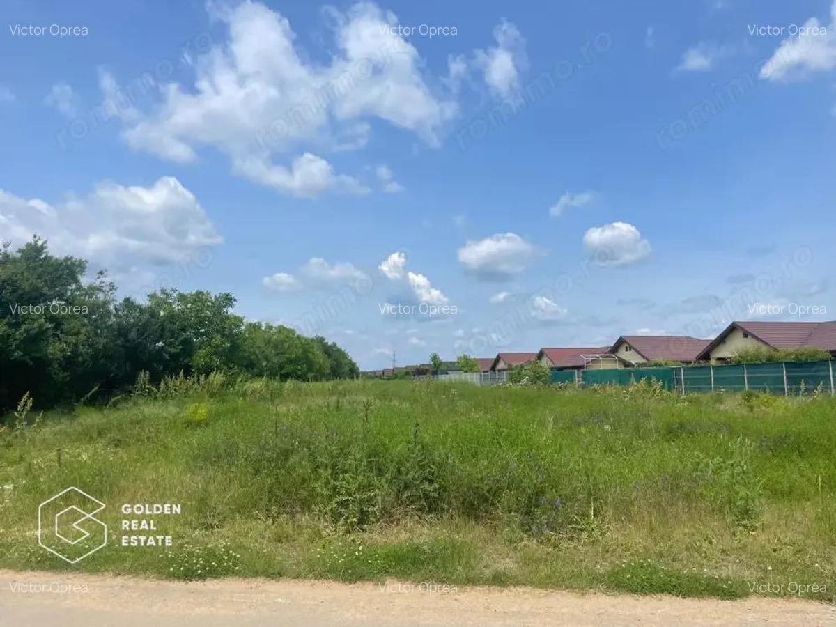 Teren intravilan, Balote?ti, Strada Cameliei 36, 10.000 mp - 5