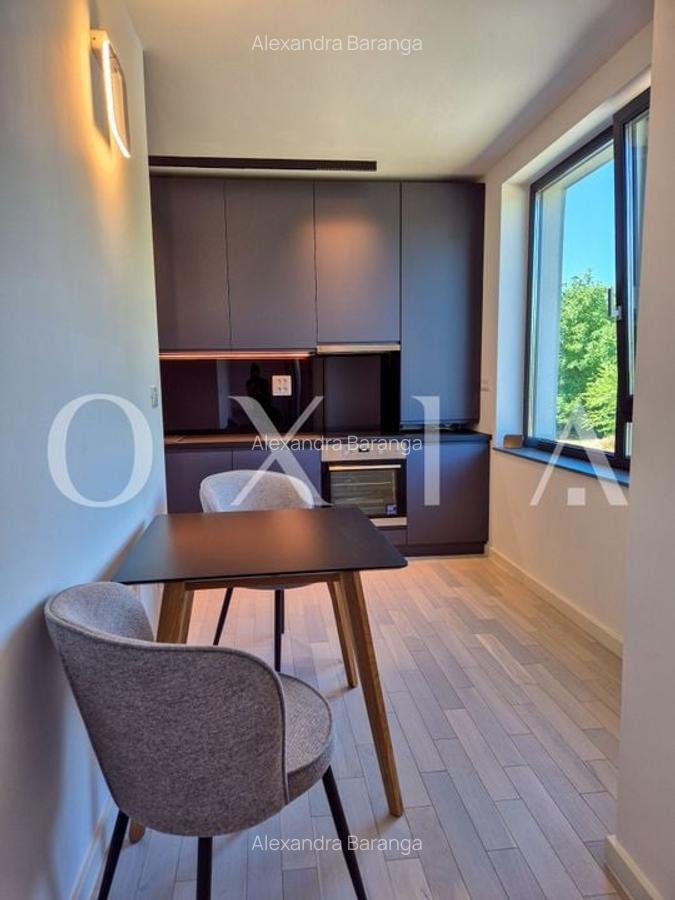 AX1068 Dumbravita, Bulevardul Petre Tutea, Prima Inchiriere - 14