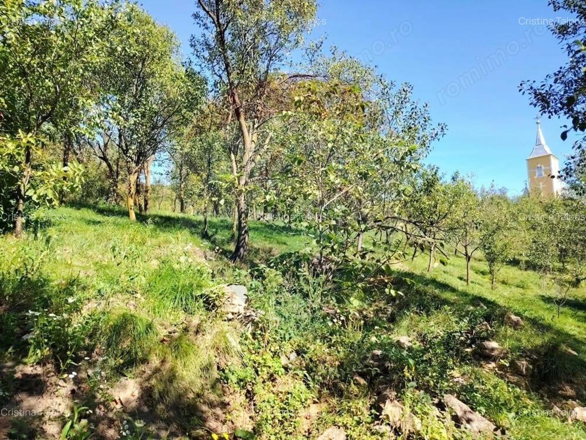 EXCLUSIVITATE! Casa veche si teren 30 ari, centru Mirsid - Comision 0% - 5