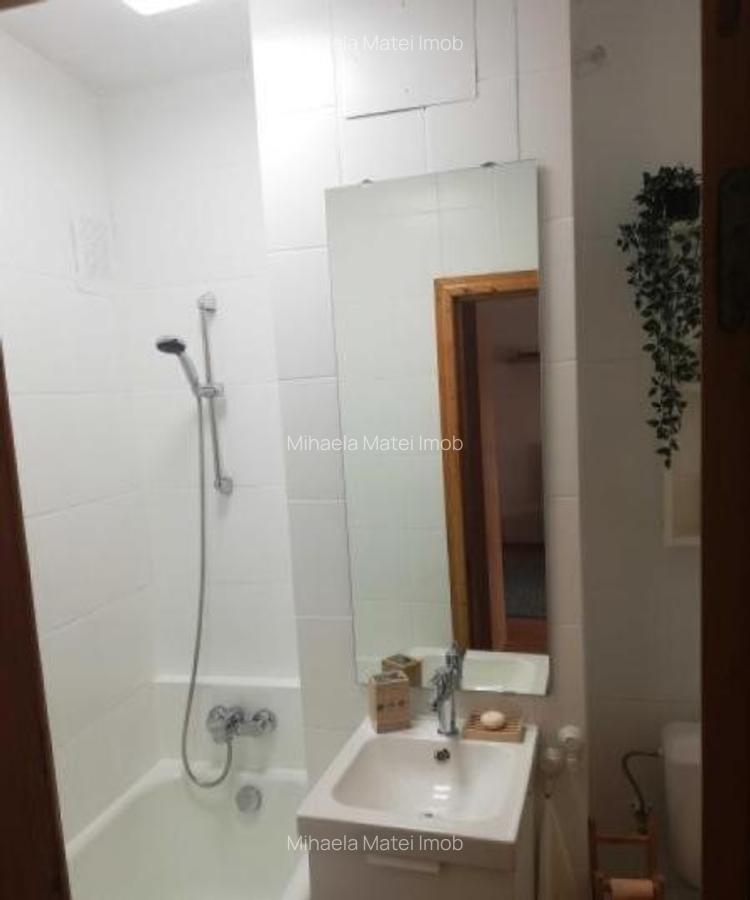 Garsoniera 32 mp/ Bd N Titulescu / zona Piata Victoriei - 5