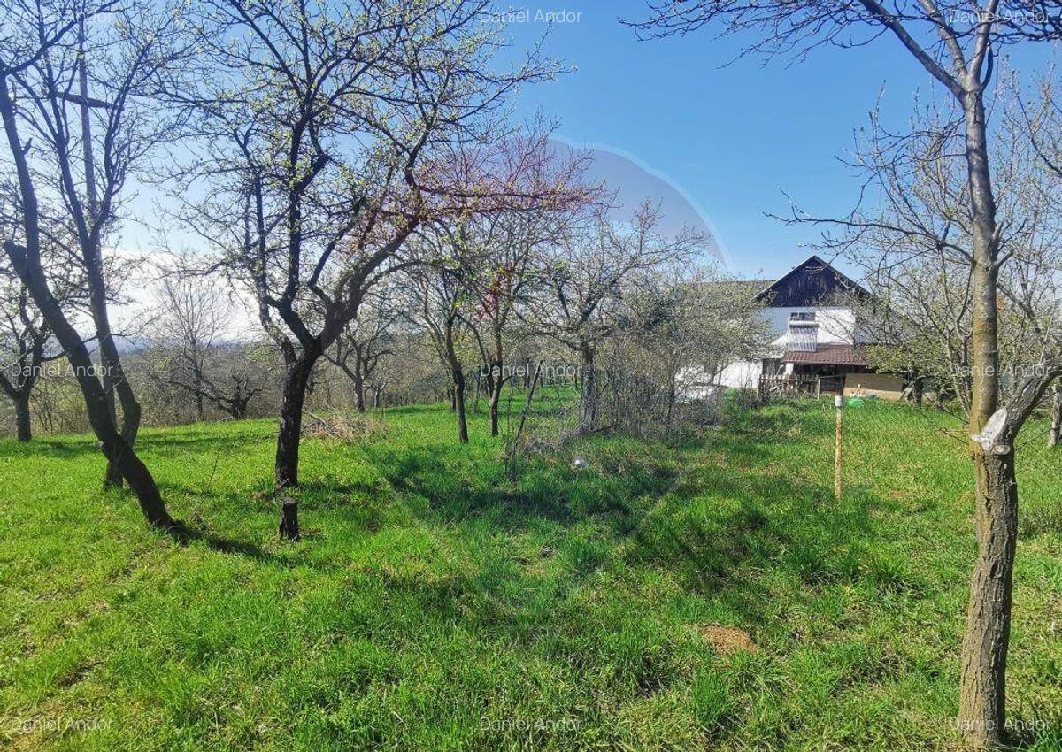 DE VANZARE Casa P+E+Pod, orientare sudica, Dane?... - 18