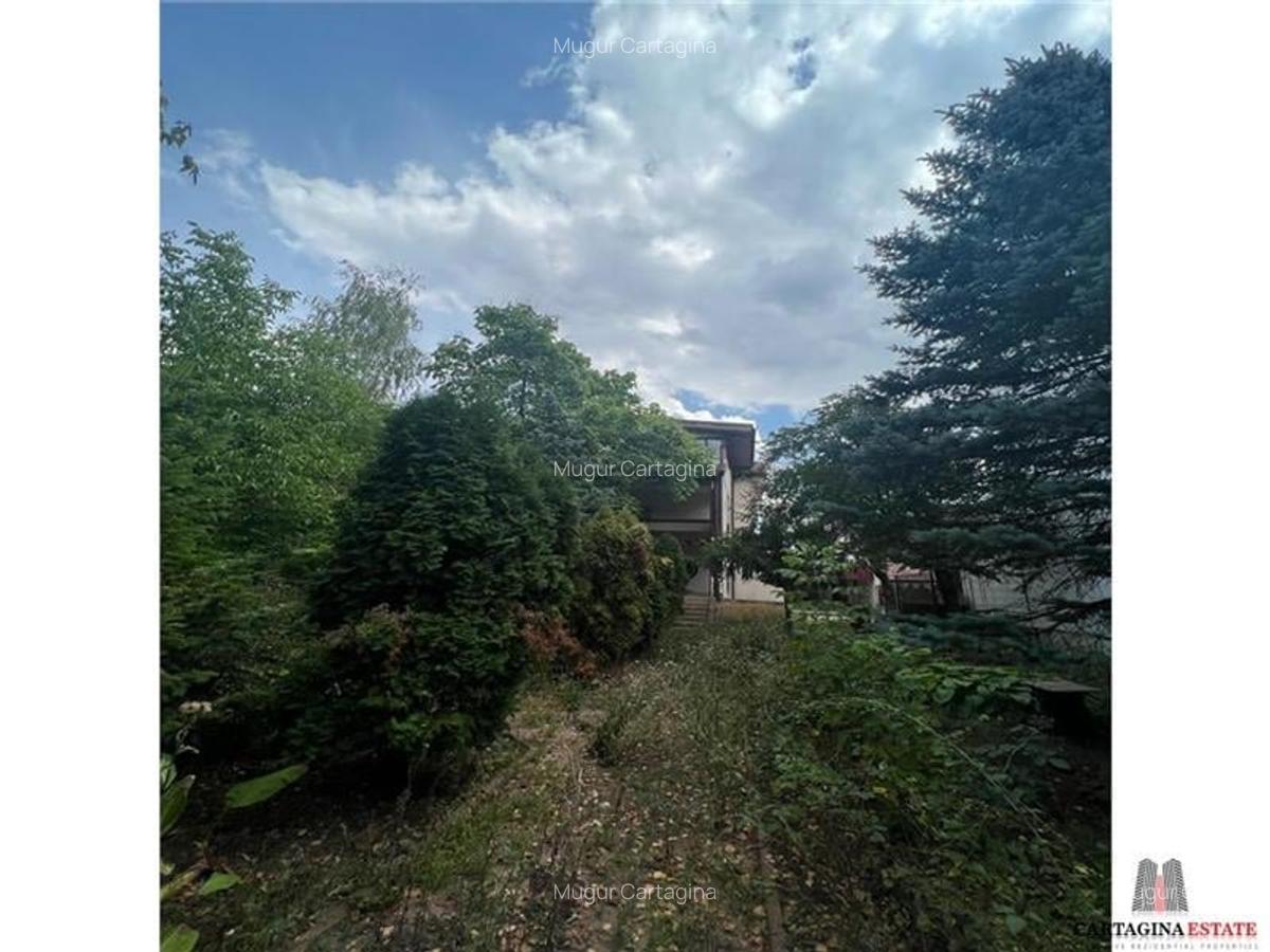 Vila individuala / S+P+1E+M /Iancu Nicolae-Zoo / necesita renovare - 7