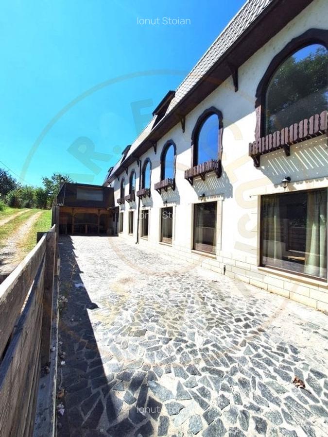 Oportunitate-Cladire comerciala HoReCa in Domnesti-Arges - 15