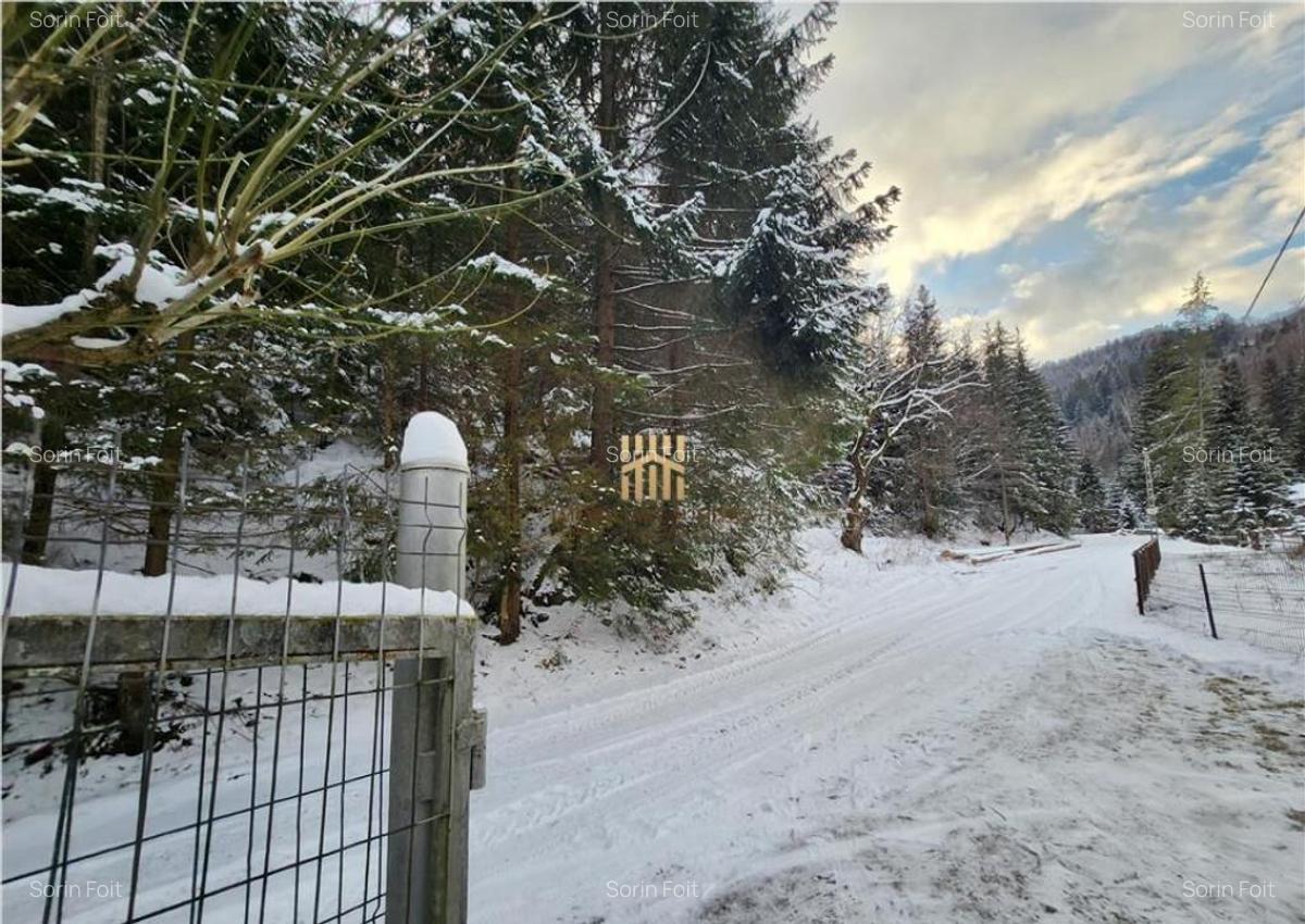 Casa de Vacanta in Bucovina! Munte - Rarau! De ! 0727817187 - 15