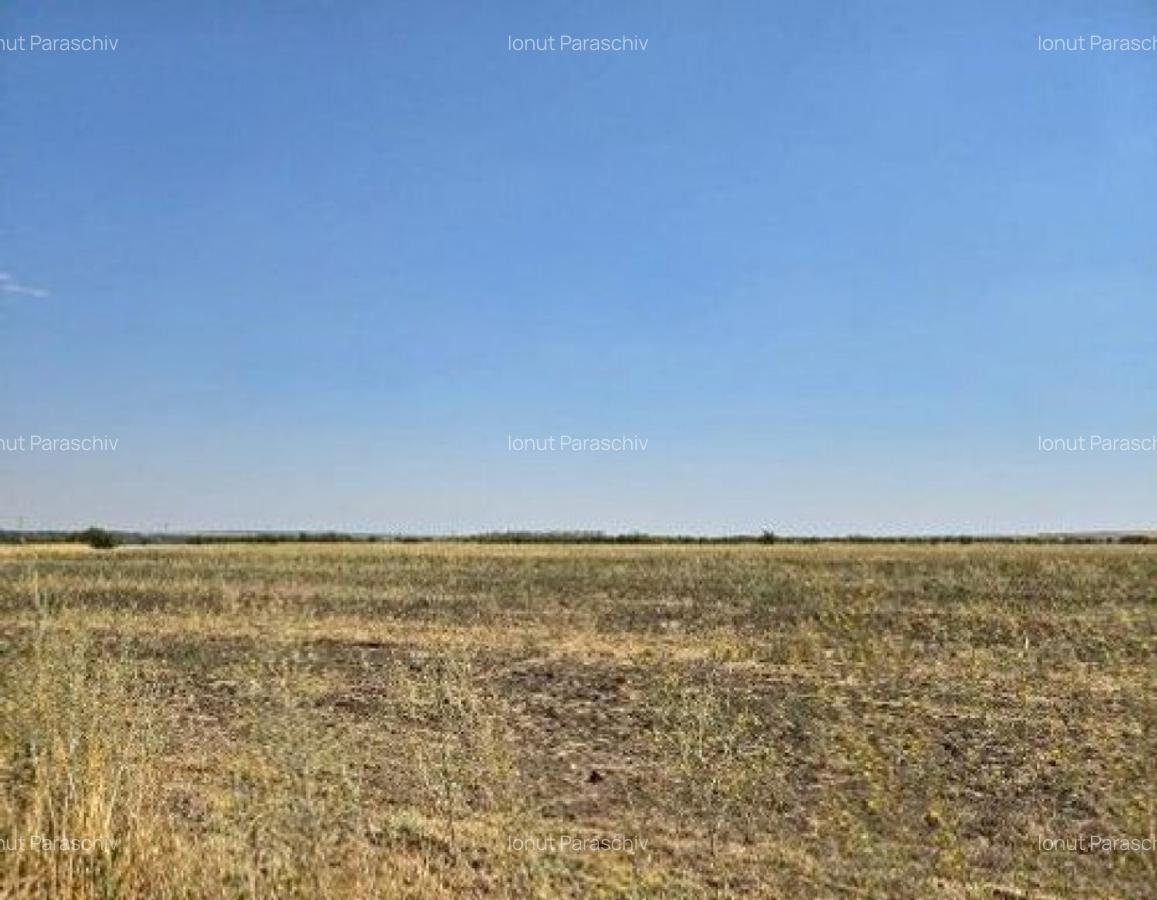 Teren extravilan Smardioasa, cota 1/6, ID: R2688427 - 3