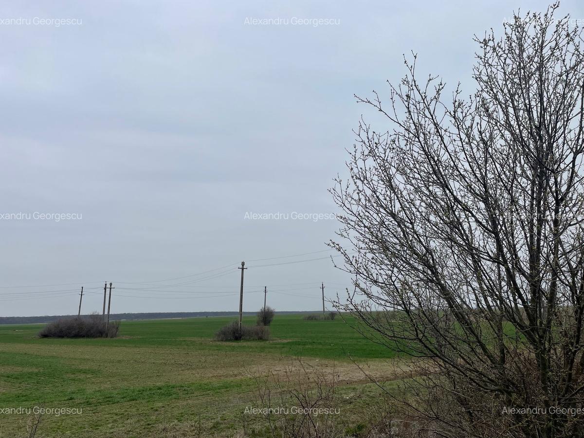 Giurgiu-Marsa Teren Agricol 8.5 Ha - 2