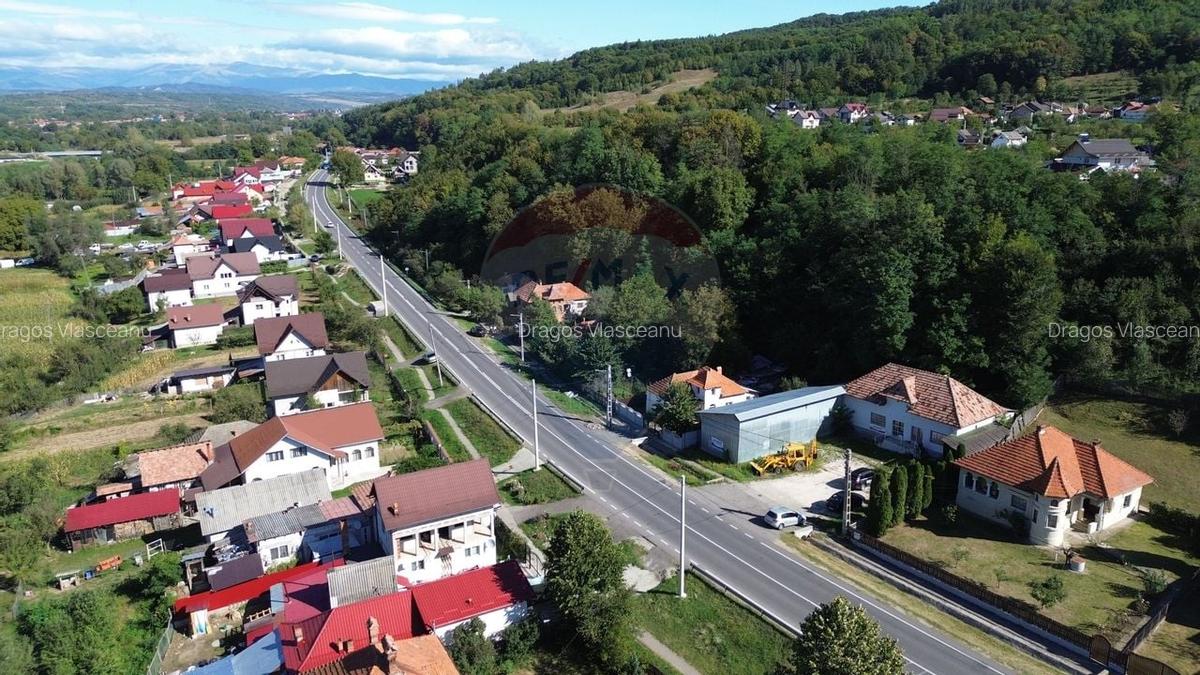 Spatiu comercial si casa de vanzare in Furnicosi. - 13