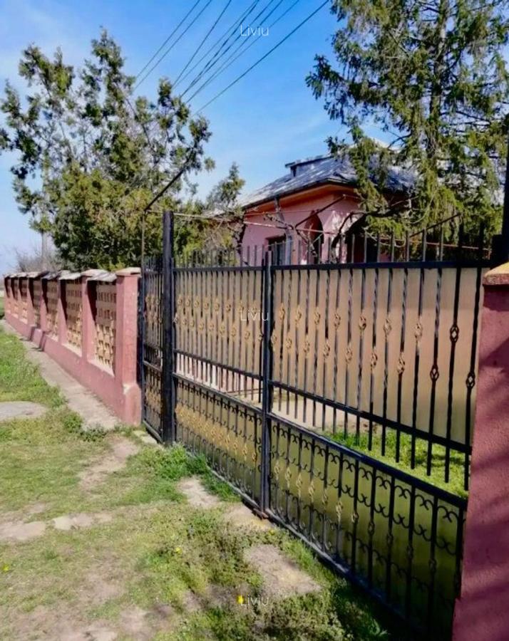 Casa spa?ioasa in Pogoanele, jude?ul Buzau - 2