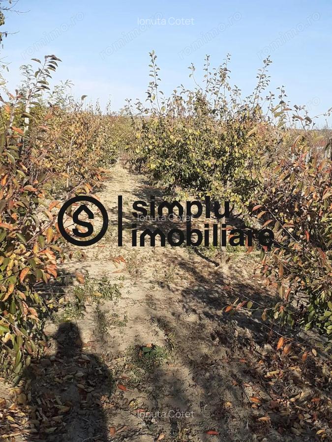 Casa Bradesti, teren 1239 mp - 29 995 Euro - 3