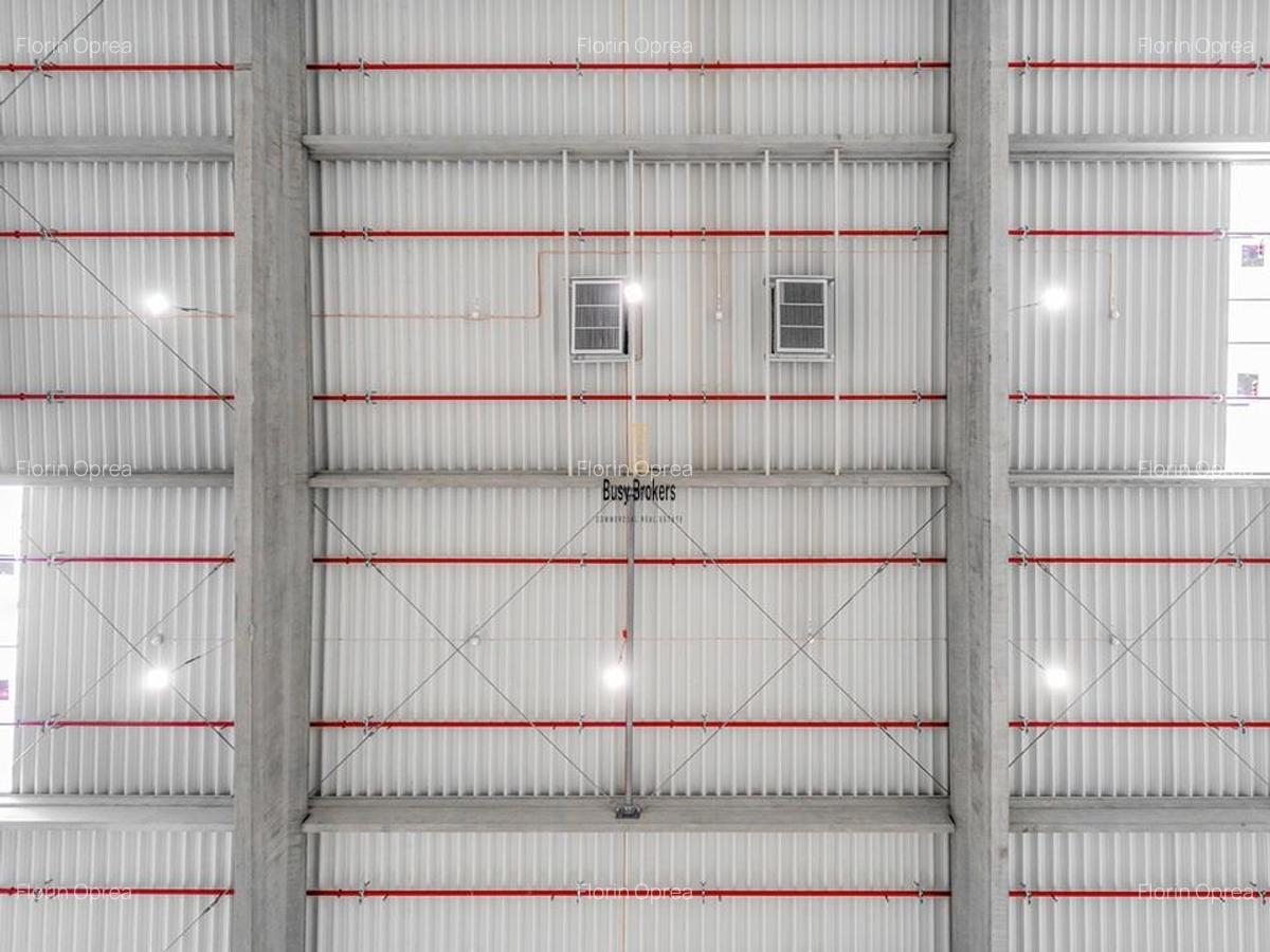 Spatiu Industrial - 3000 mp - Logistica - Productie - Depozitare - 9