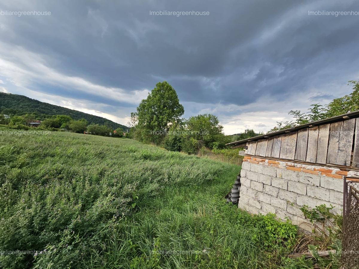 Casa cu teren , localitatea Birtin - 6