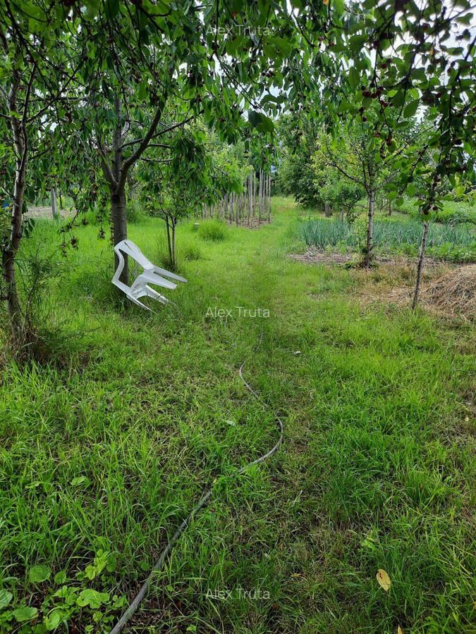 Vand casa in comuna Ciugud, sat Ciugud - 5