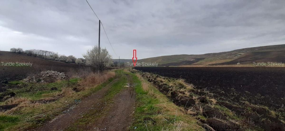 Teren agricol pentru investitii, zona Valea Calda -Iris - 3