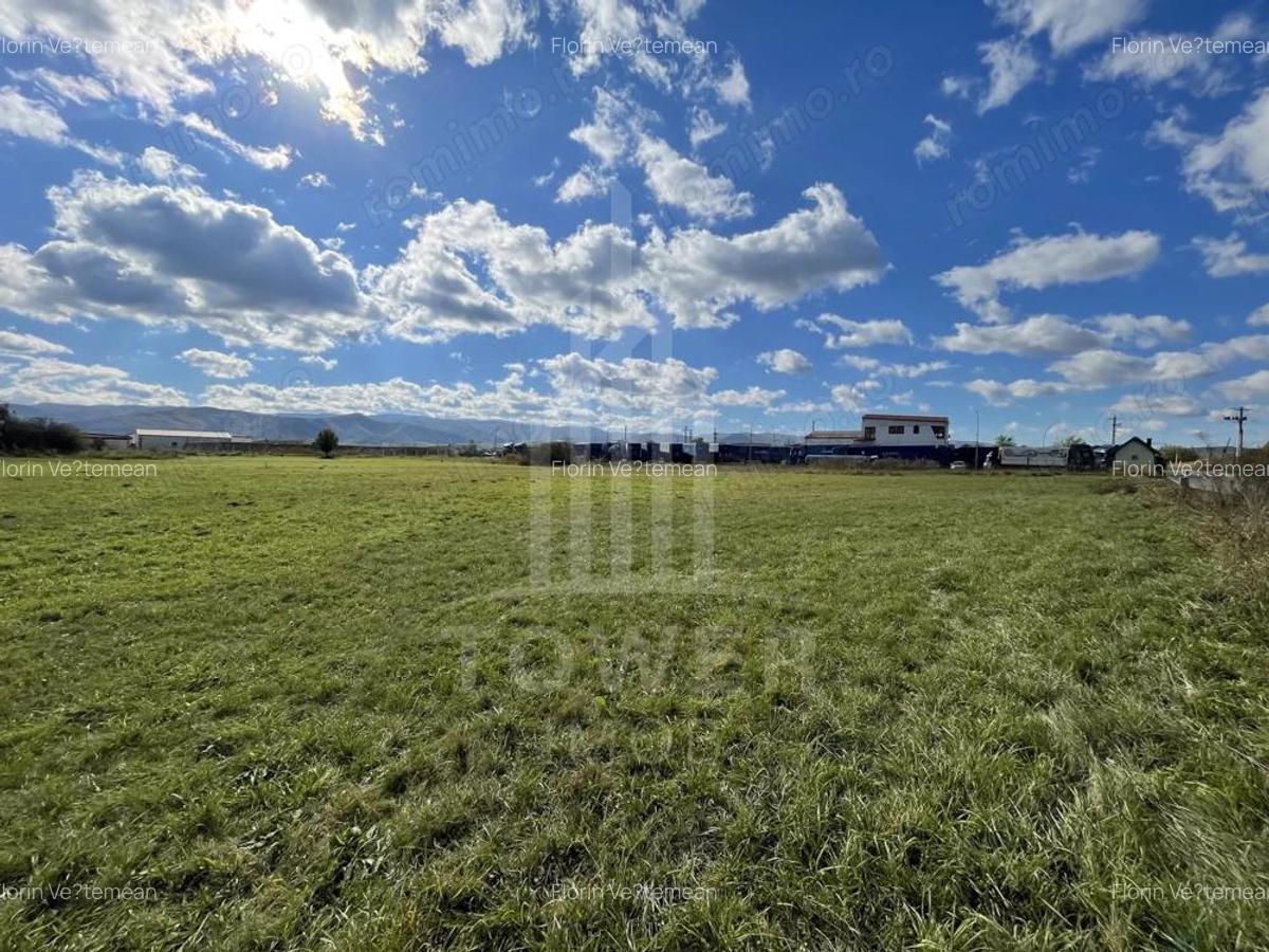 Teren industrial de vanzare in Cristian 6.000 mp, deschidere la drum asfaltat - 4