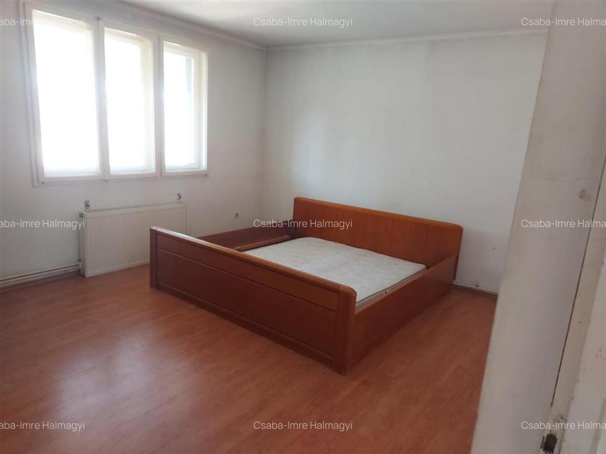 Casa cu 2 etaje si hala mare in Ineu de Cris - 19