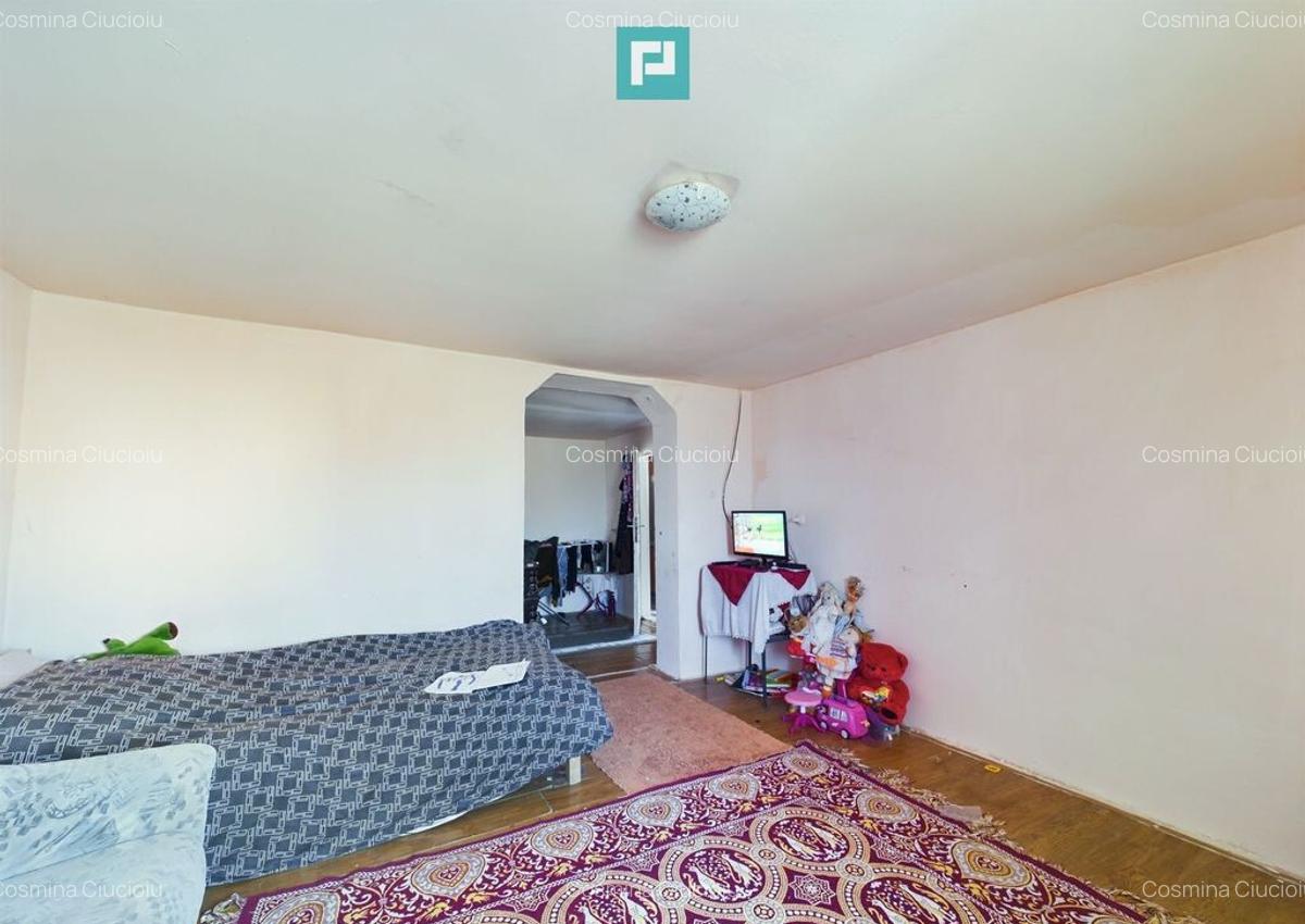 Casa cu Poten?ial Imens in ?ipet, Comuna Tormac - 17 Casa cu Poten?ial Imens in ?ipet, Comuna Tormac - 17