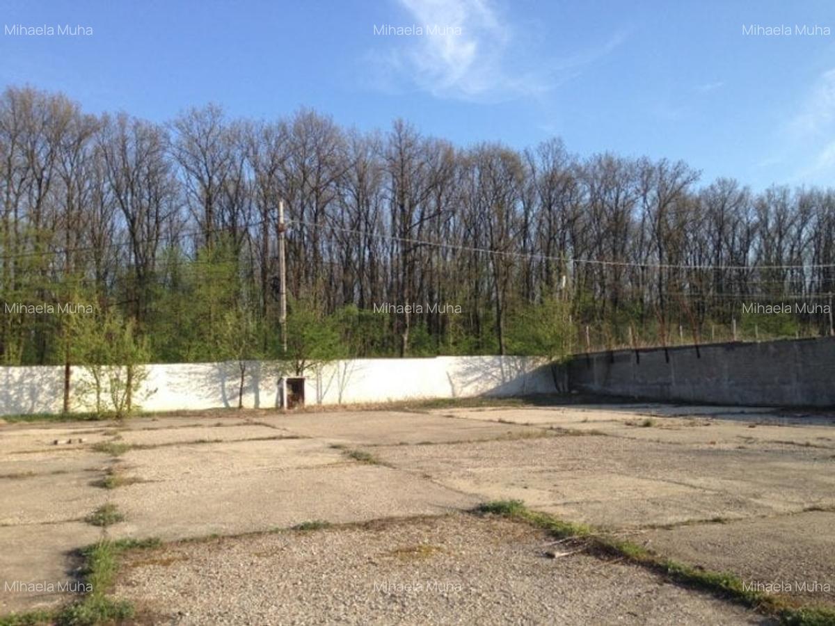 Vanzare teren Snagov Vladiceasca - 1