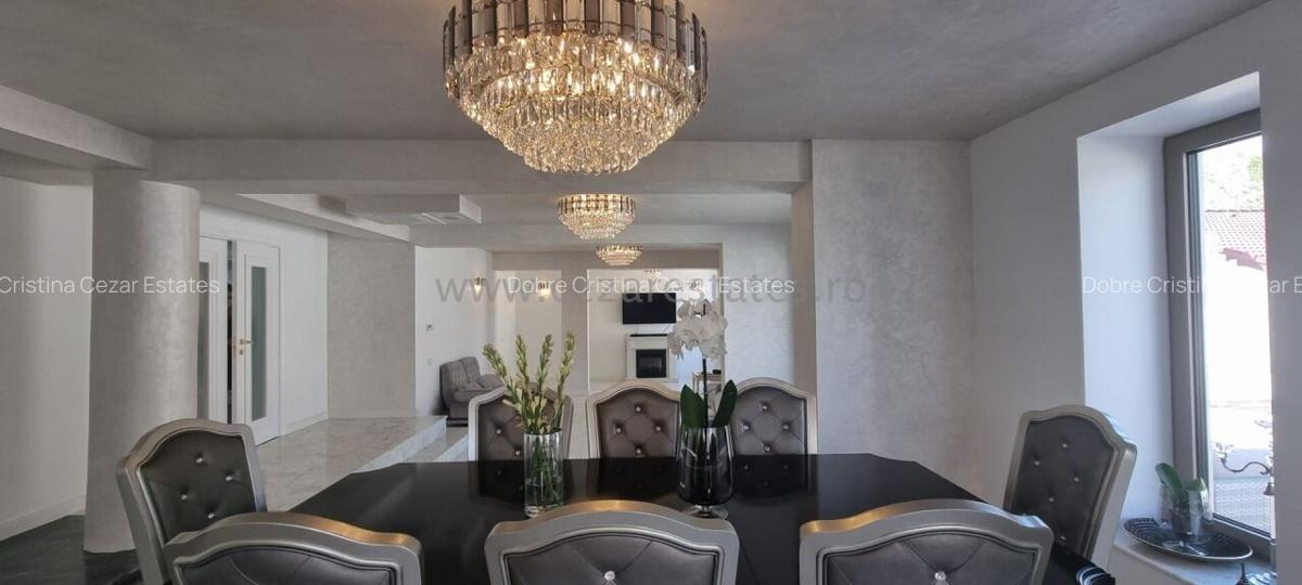 PIPERA IANCU NICOLAE VILA LUX RENOVATA COMPLET 2022 - 35