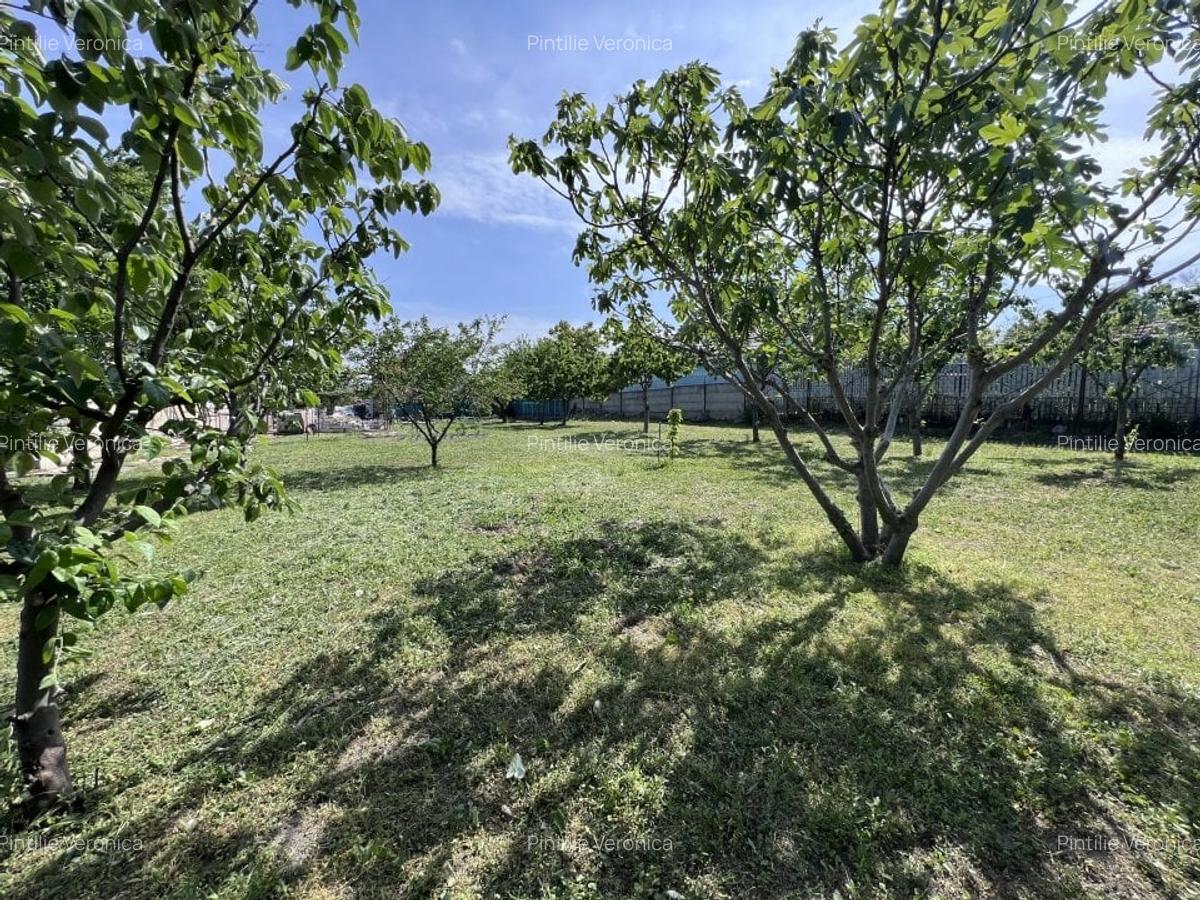 Teren 3500 mp Str Delfinului Foarte Aproape De Lacul Sutghiol - 37