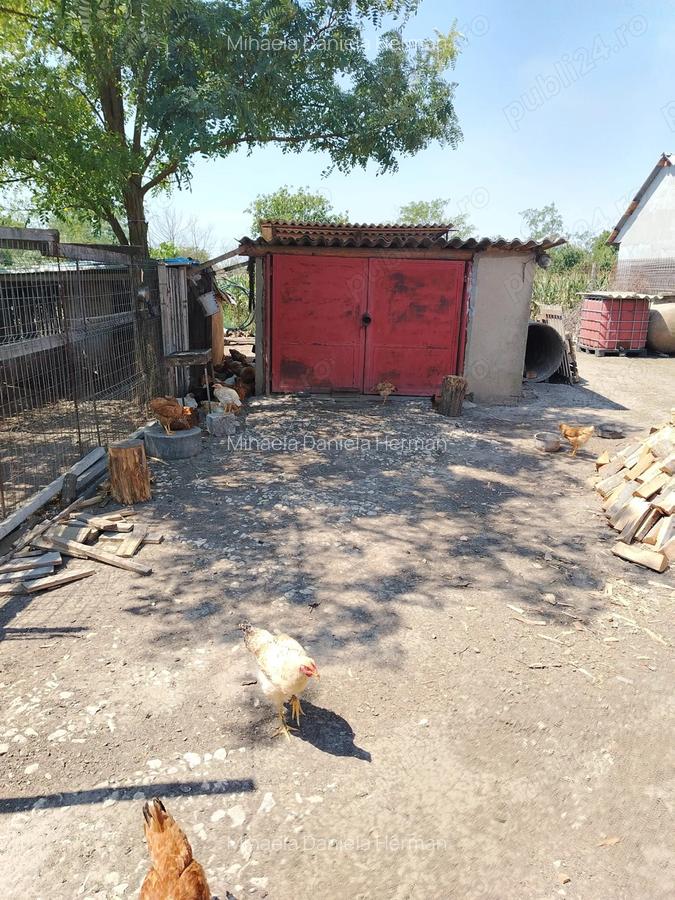 Casa de vanzare in sat LANURILE - 5