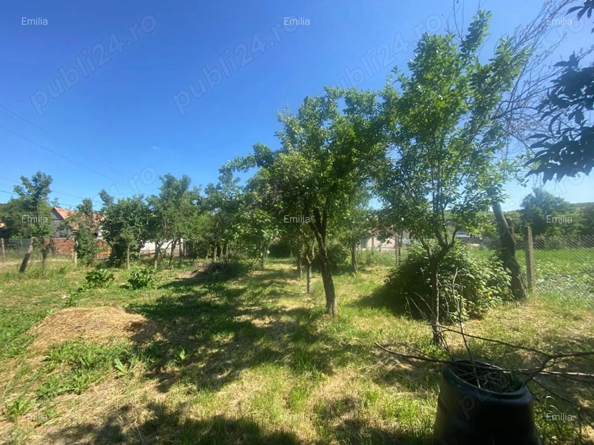 Casa 4 camere, curte individuala, 1350 mp teren, in ?ura Mare, Sibiu - 7