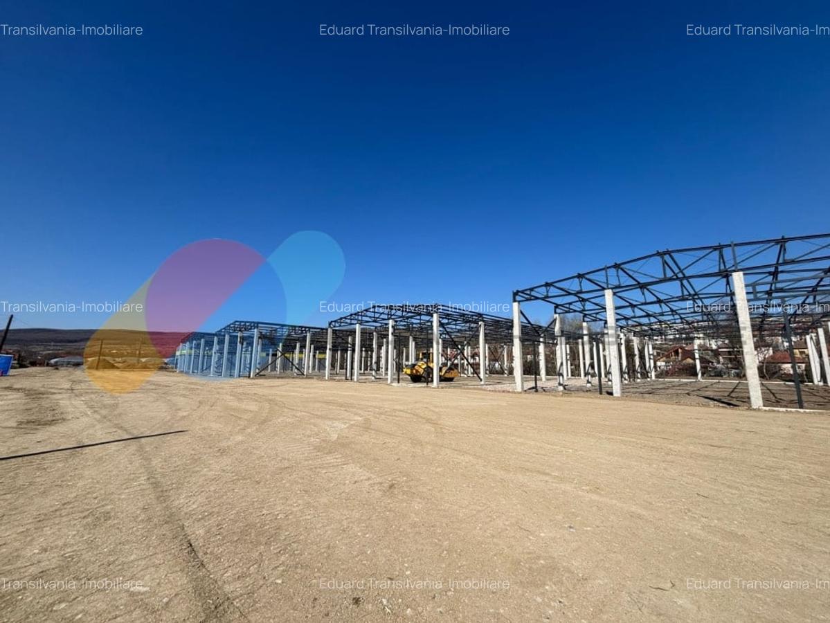 Hale de vanzare - 600 mp, open space, acces TIR, zona intrare Baciu - 7 Hale de vanzare - 600 mp, open space, acces TIR, zona intrare Baciu - 7