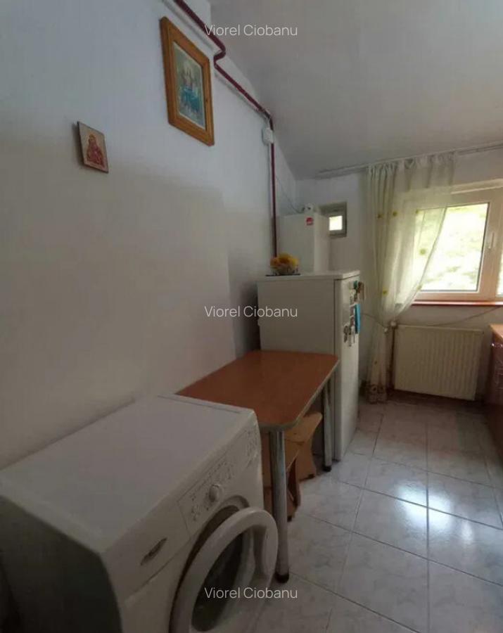 APARTAMENT CU 1 CAMERA DECOMANDAT, COPOU - 7