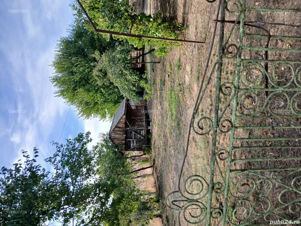 Casa la tara sat Silistea com Vitanesti - 3