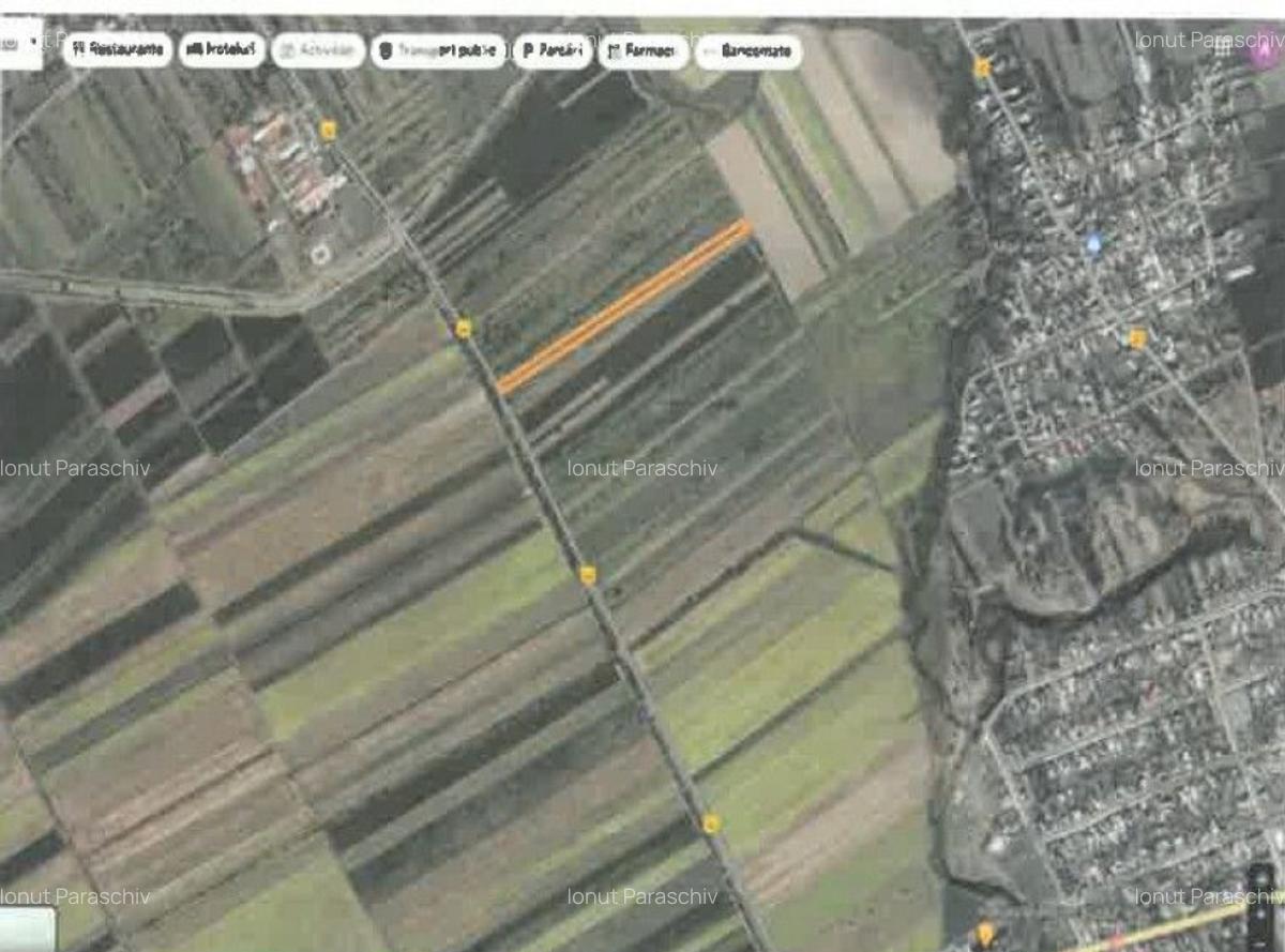 Teren extravilan Pietroasele, ID: R2586802 - 12