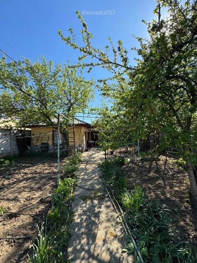 Casa cu teren 360mp sector3 P.O.T 60% Rate/Schimb/Inchiriere - 6