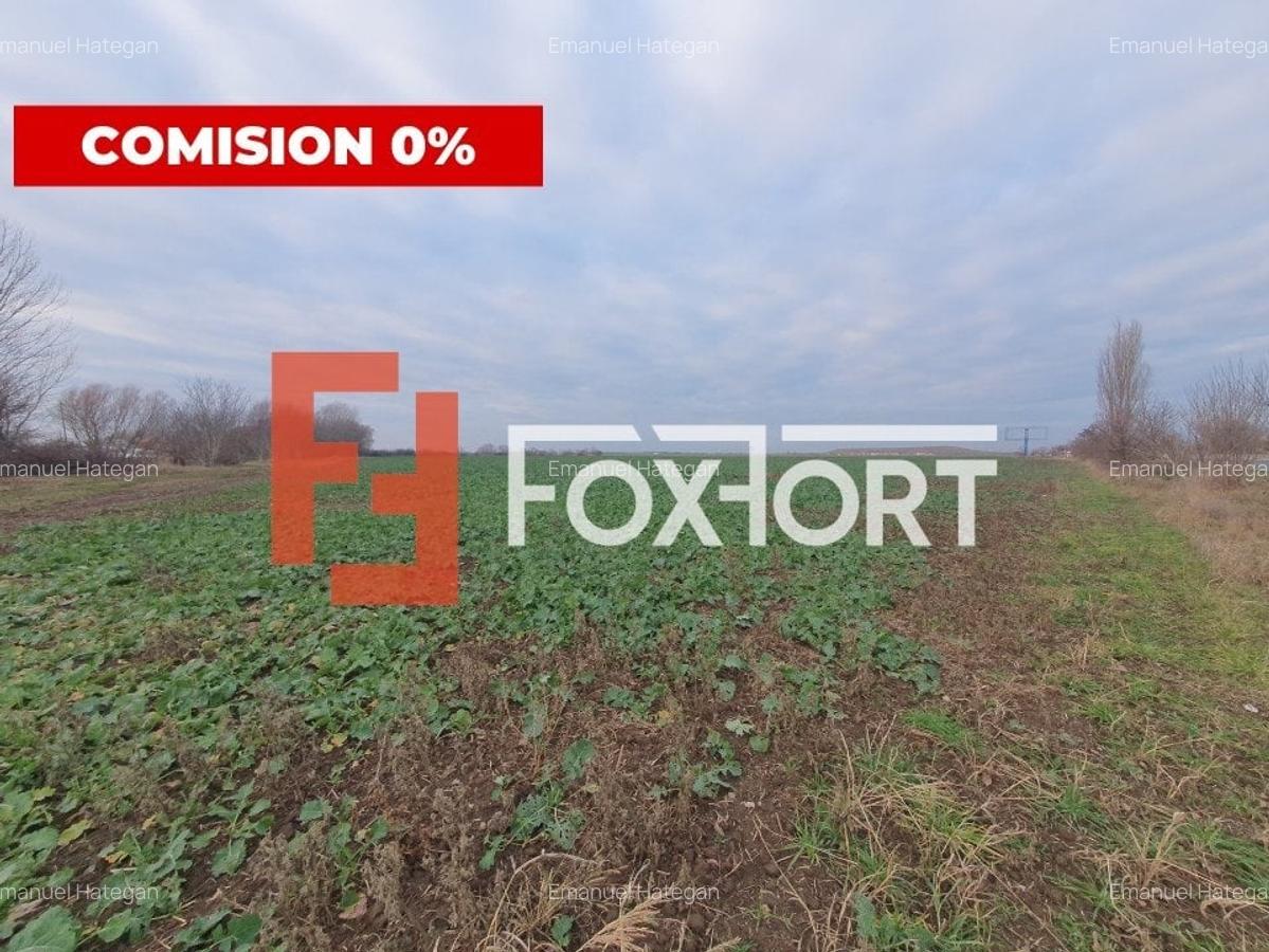 Teren agricol extravilan de 20000 mp, în Șag - 5