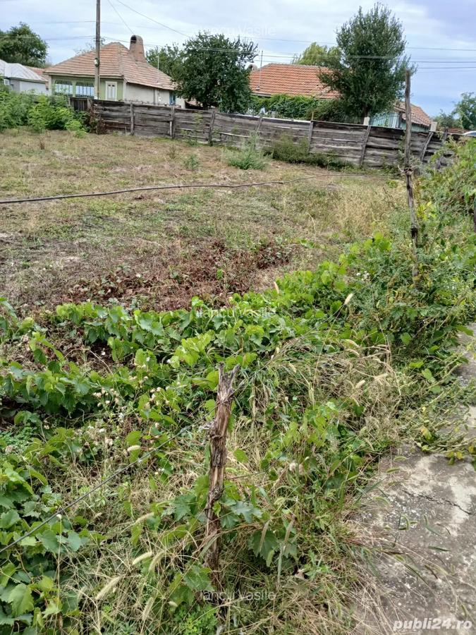Vand casa batraneasca - 3