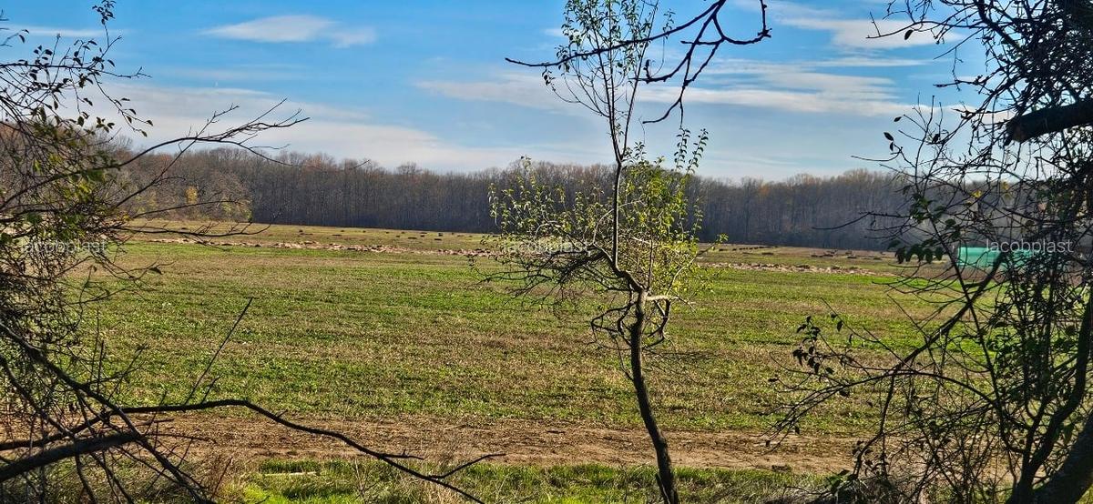 Teren de vanzare Snagov - 9