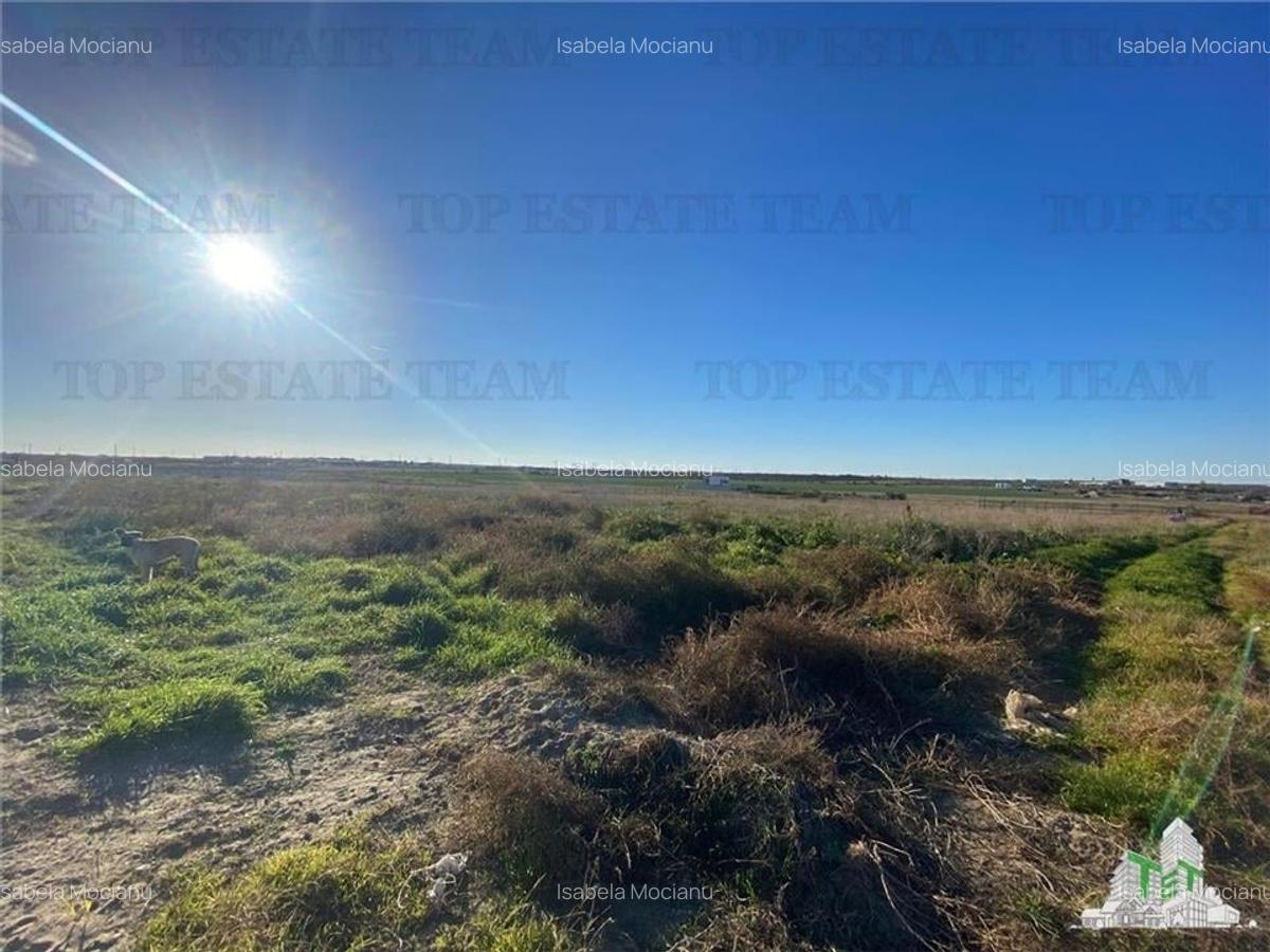 TEREN INTRAVILAN BOREAL - 4 TEREN INTRAVILAN BOREAL - 4