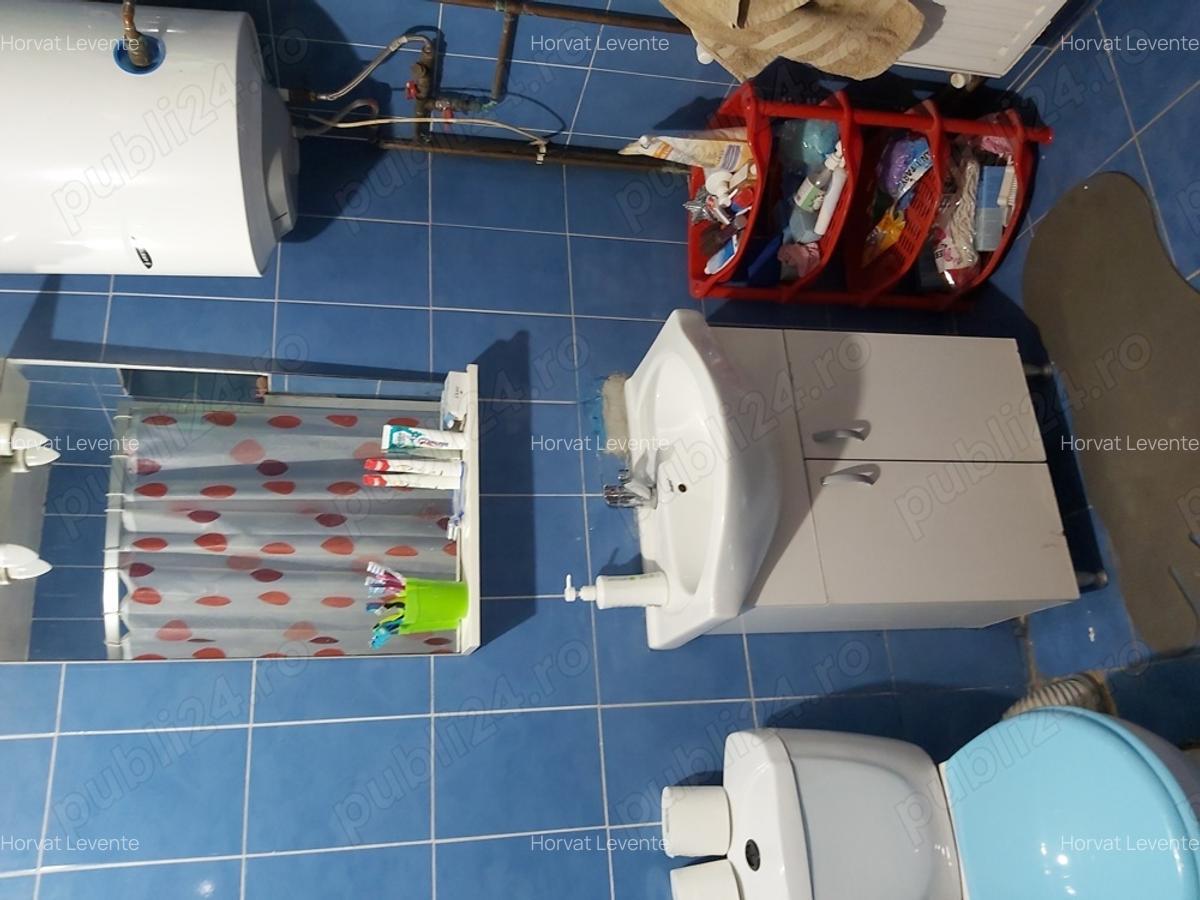 Vand casa in Vanatori jud Mure la 10 km de Sighisoaras - 6