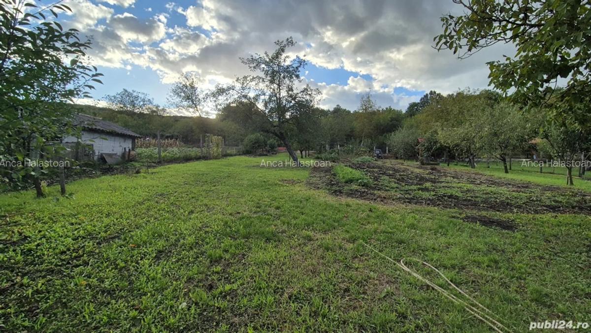 Casa in inima naturii dar aproape de ora? - 10