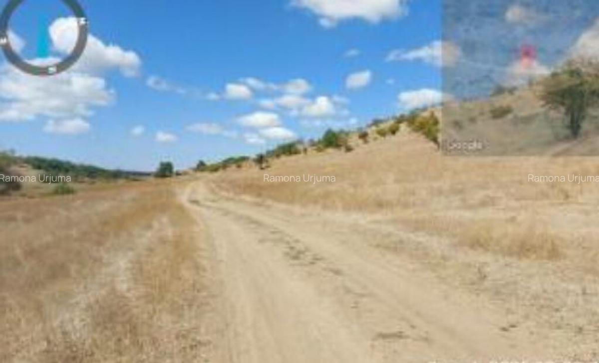 Teren extravilan Loc. Bucovat sat Sarbatoarea, jud. Dolj - 4